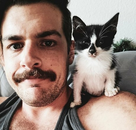 fosterkittendad Profilbild