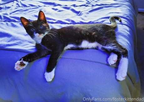 fosterkittendad OnlyFans-Fotos