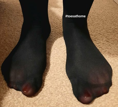 homefortoes Kostenloses OnlyFans