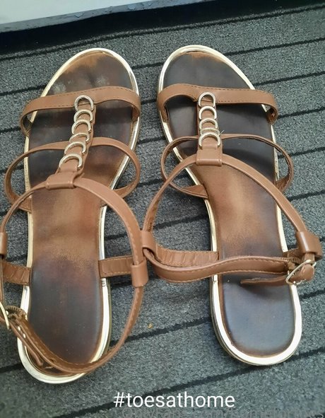 homefortoes Profilbild