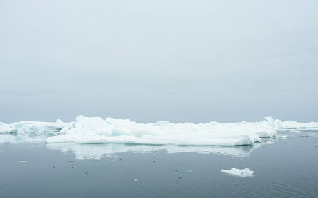 iceicelady Nacktbilder von OnlyFans