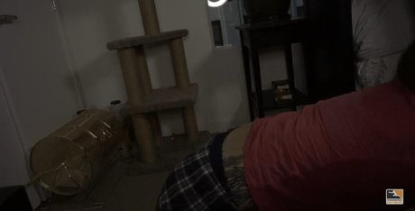 Soe Gwchwind OnlyFans Leaks Nacktbilder