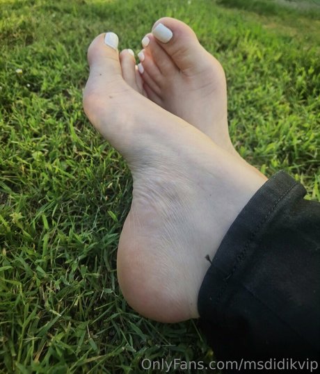msdidikvip Nacktbilder von OnlyFans