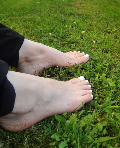 msdidikvip Leak von OnlyFans Pornografie