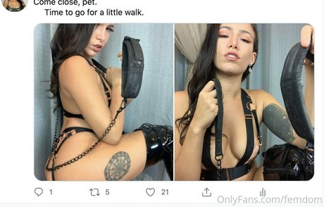 femdom OnlyFans-Archiv