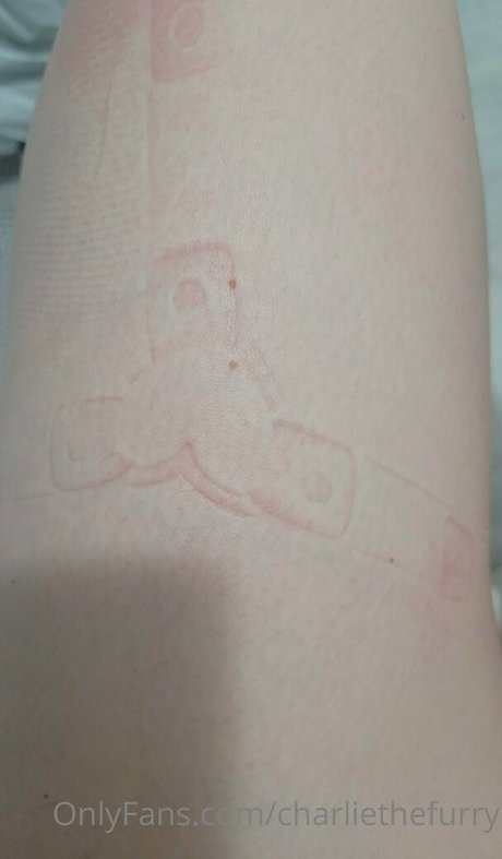 charliethefurry OnlyFans Pornografie