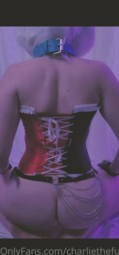 charliethefurry Nacktbilder von OnlyFans