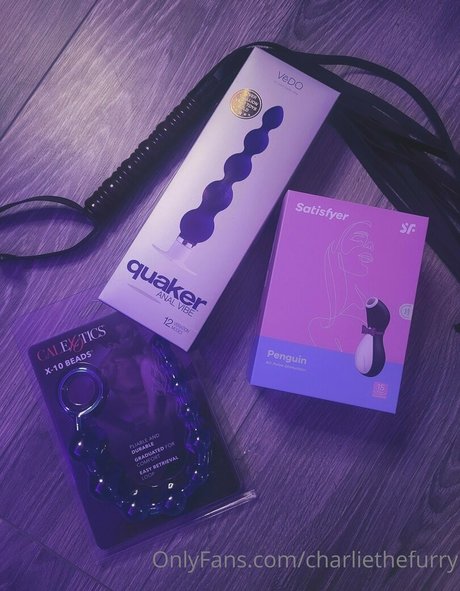 charliethefurry OnlyFans Striptease