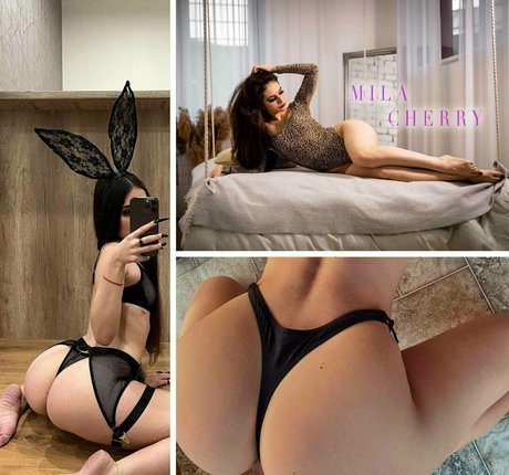 bbw-transe nur fans Pornografie Set