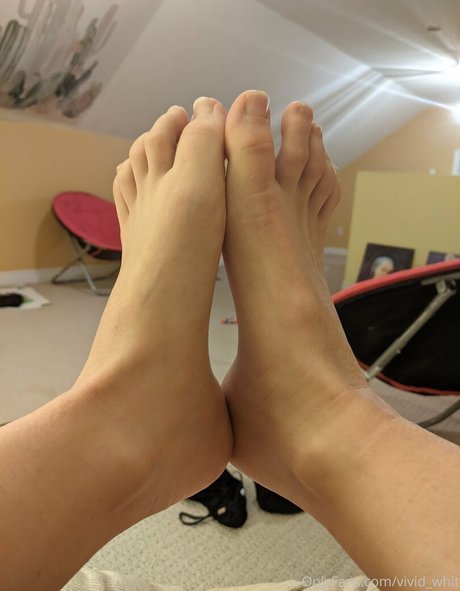 Vivid Whit Nacktporno OnlyFans