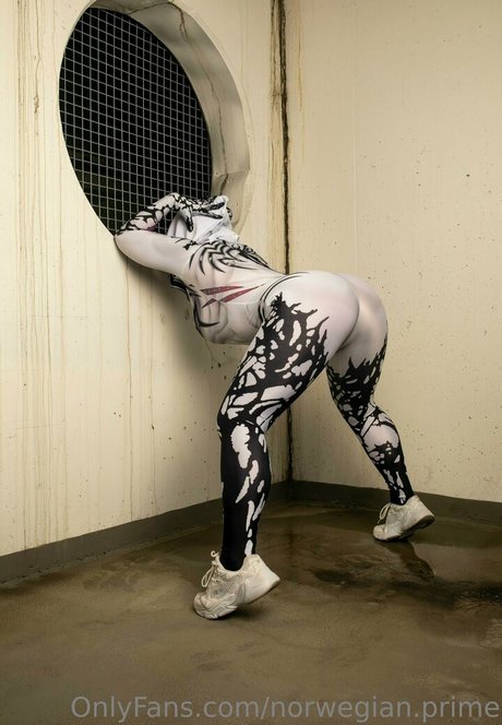 norwegian prime Profilbild