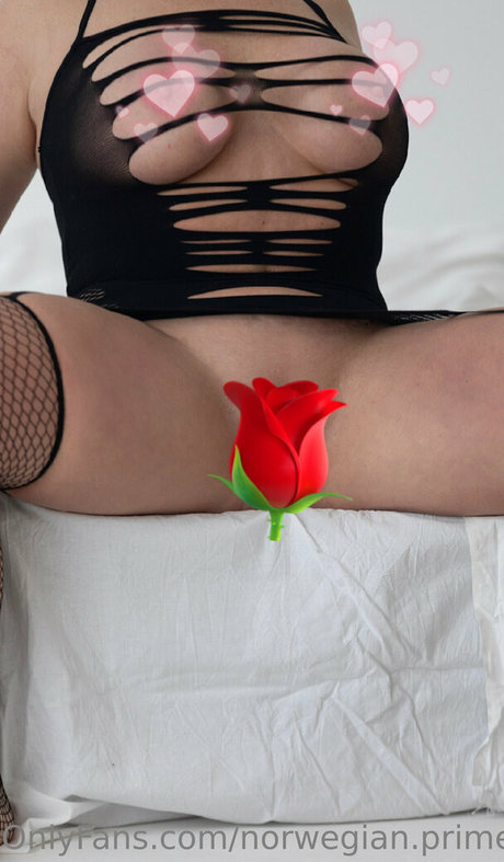 norwegian prime OnlyFans Lesbisch