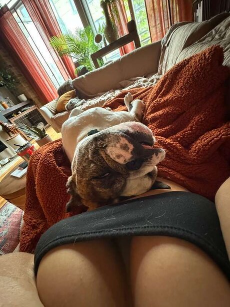 Amanda Michelle OnlyFans geleakte Pornografie