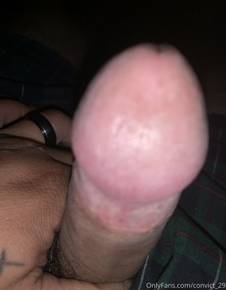 convict 29 OnlyFans Leak