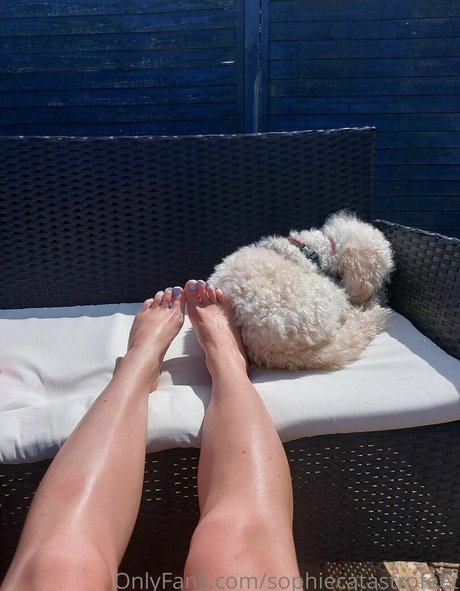 sophiecatastrofeet OnlyFans-Komplettinhalte