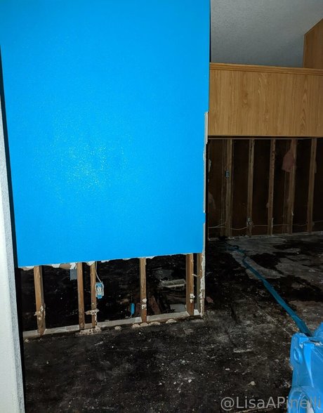 lisaapinelli Kostenlose OnlyFans-Pornos