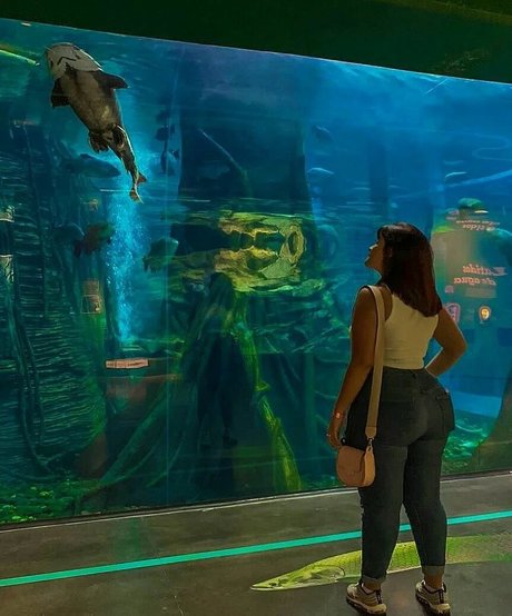 Michel Usuga OnlyFans Bilder