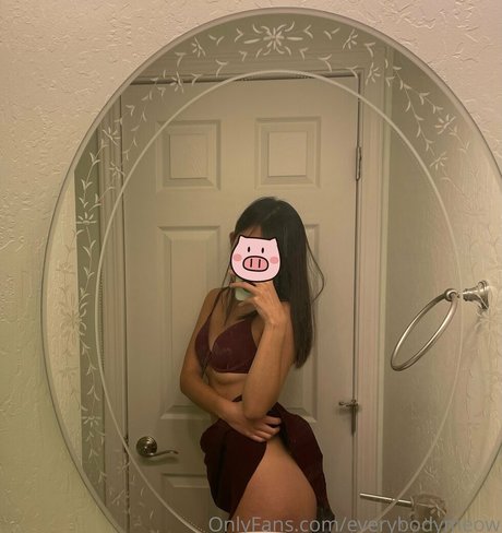 everybodymeow OnlyFans XXX