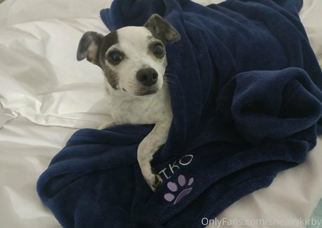 sneakykirby OnlyFans Arsch Leak