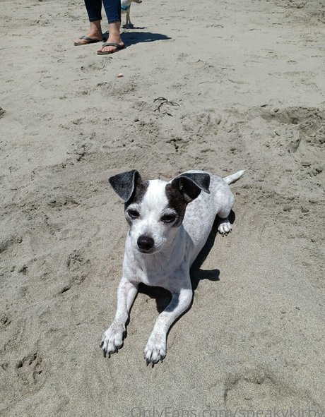 sneakykirby Nacktbilder von OnlyFans