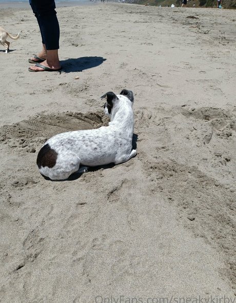 sneakykirby Heiße OnlyFans Inhalte