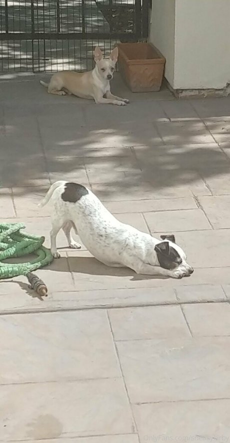 sneakykirby Nacktbilder OnlyFans Leak