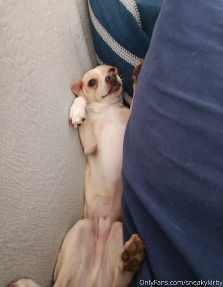 sneakykirby OnlyFans schlank