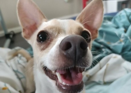 sneakykirby OnlyFans