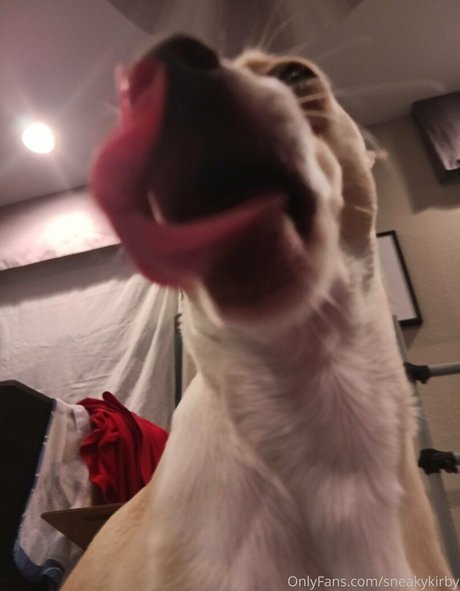 sneakykirby Oben ohne OnlyFans