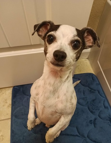 sneakykirby OnlyFans Nacktbilder geleakt