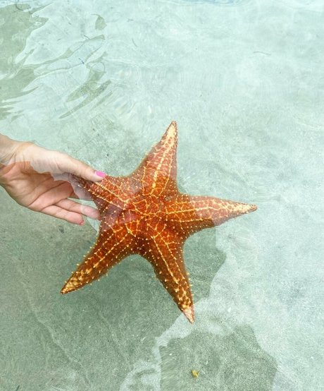 Dana Sartov Kostenloses OnlyFans