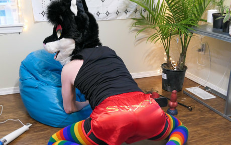 yiffykitty Nacktbilder OnlyFans Leak