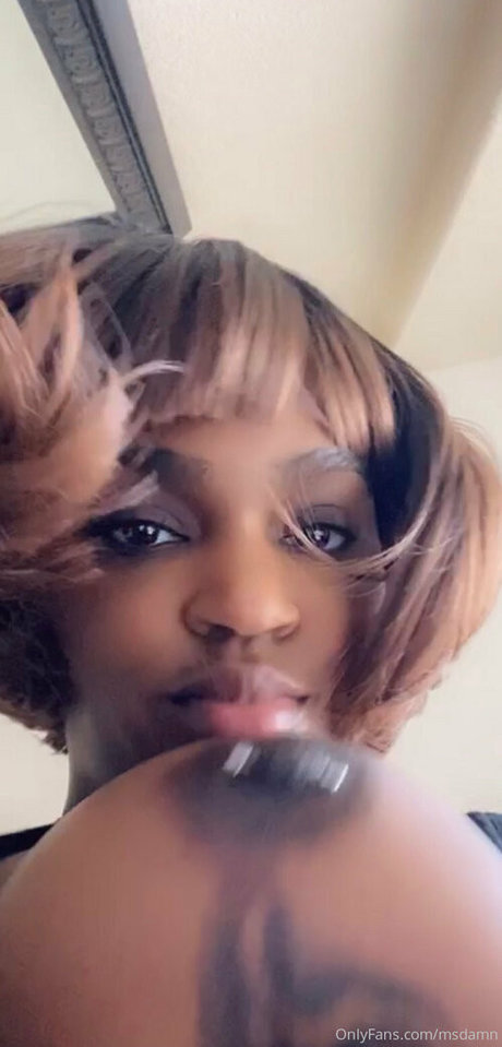 msdamn 