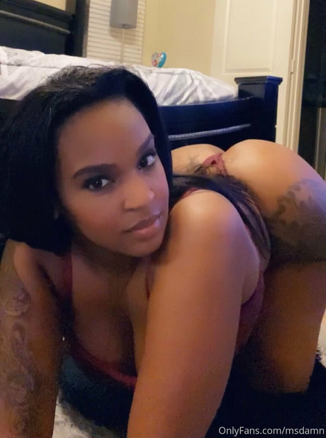 msdamn Unzensiert OnlyFans