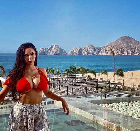 Tara Yazdi Profilbild