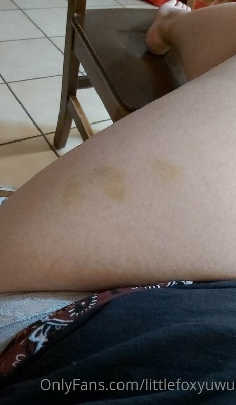 littlefoxyuwu OnlyFans Nackt Leak