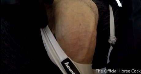 horse cock OnlyFans Inhalte