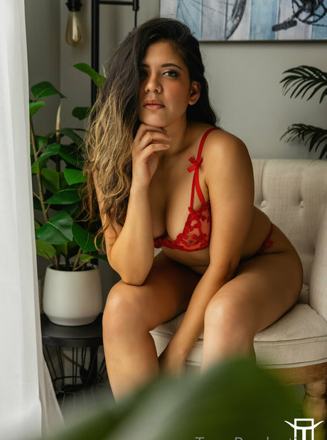 torothecreator OnlyFans gratis