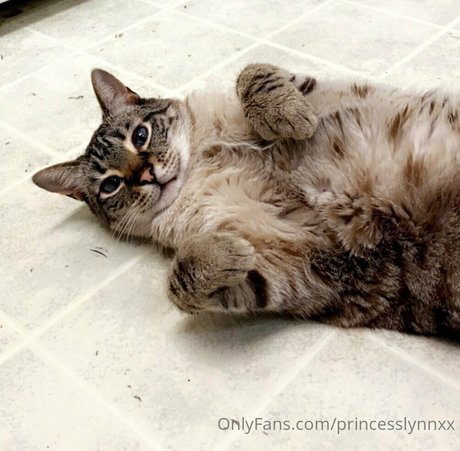 princesslynnxx Auf OnlyFans