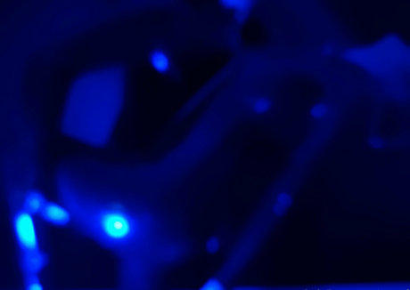 naoof OnlyFans Bilder