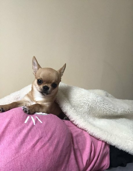 Pchan 666 XXX Leak OnlyFans Leak