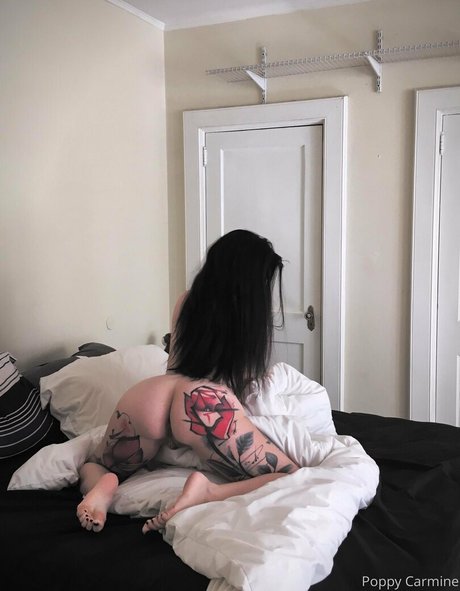 poppycarminexxx OnlyFans Nacktbilder