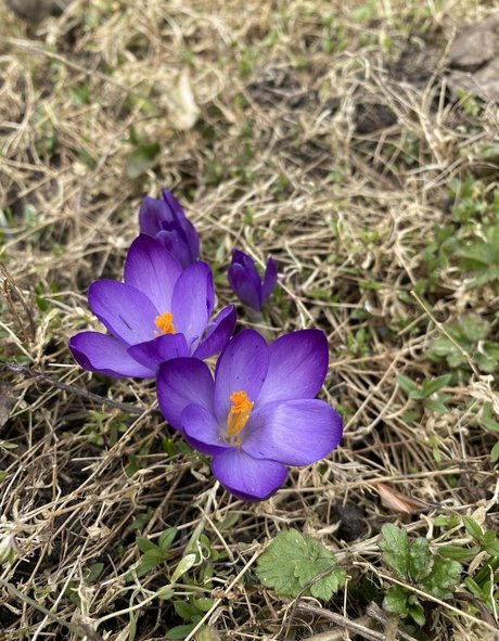 tobinedamfree OnlyFans-Leak