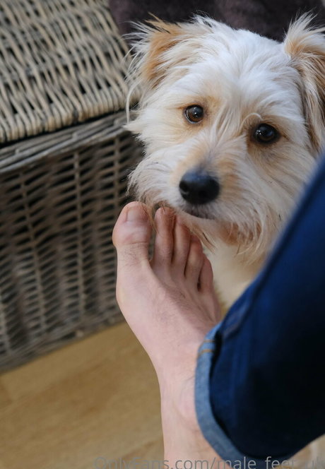 male feet uk OnlyFans geleakt.