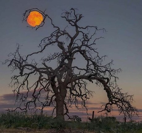 Amethyst Franklin Nacktbilder von OnlyFans