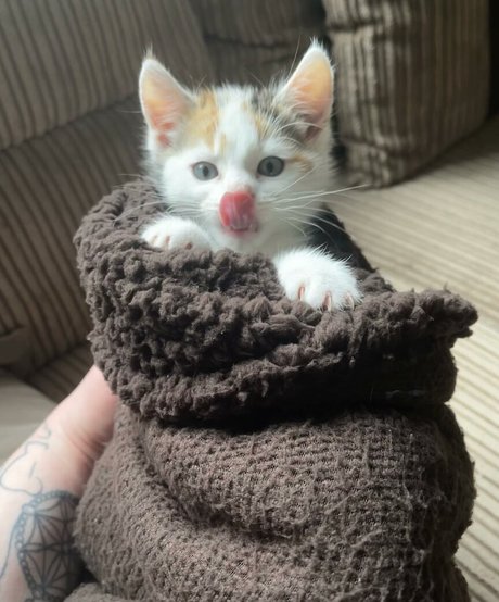 emss x OnlyFans nackt