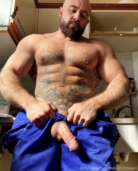 thebritishbear1 OnlyFans nackt