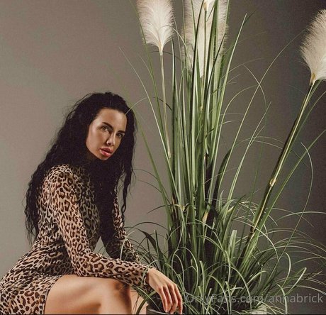 annabrick Leaked OnlyFans Sextape