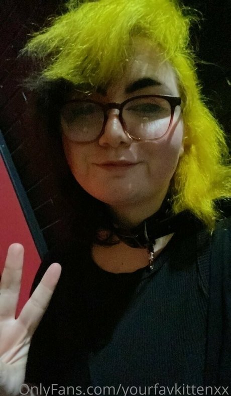 yourfavkittenxx OnlyFans Pornografie