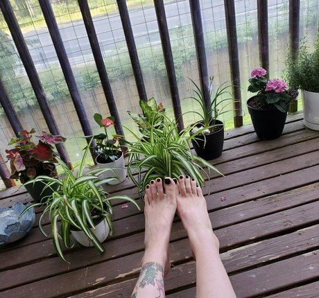 lunarlita OnlyFans kostenlos geleakt